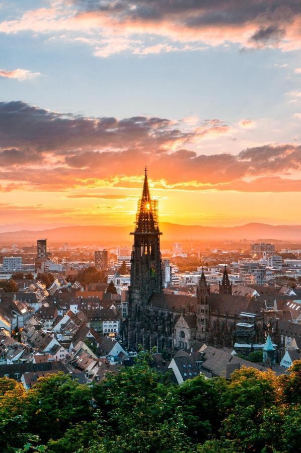 City Lux Apartment In Der Stadt Freiburg Bagian luar foto