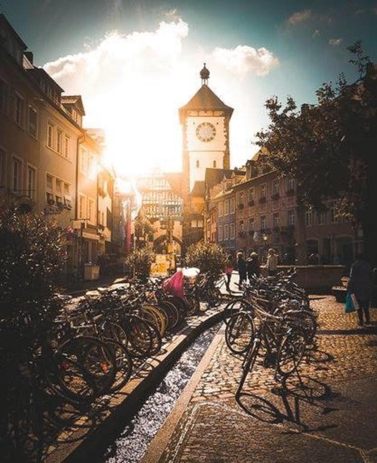City Lux Apartment In Der Stadt Freiburg Bagian luar foto