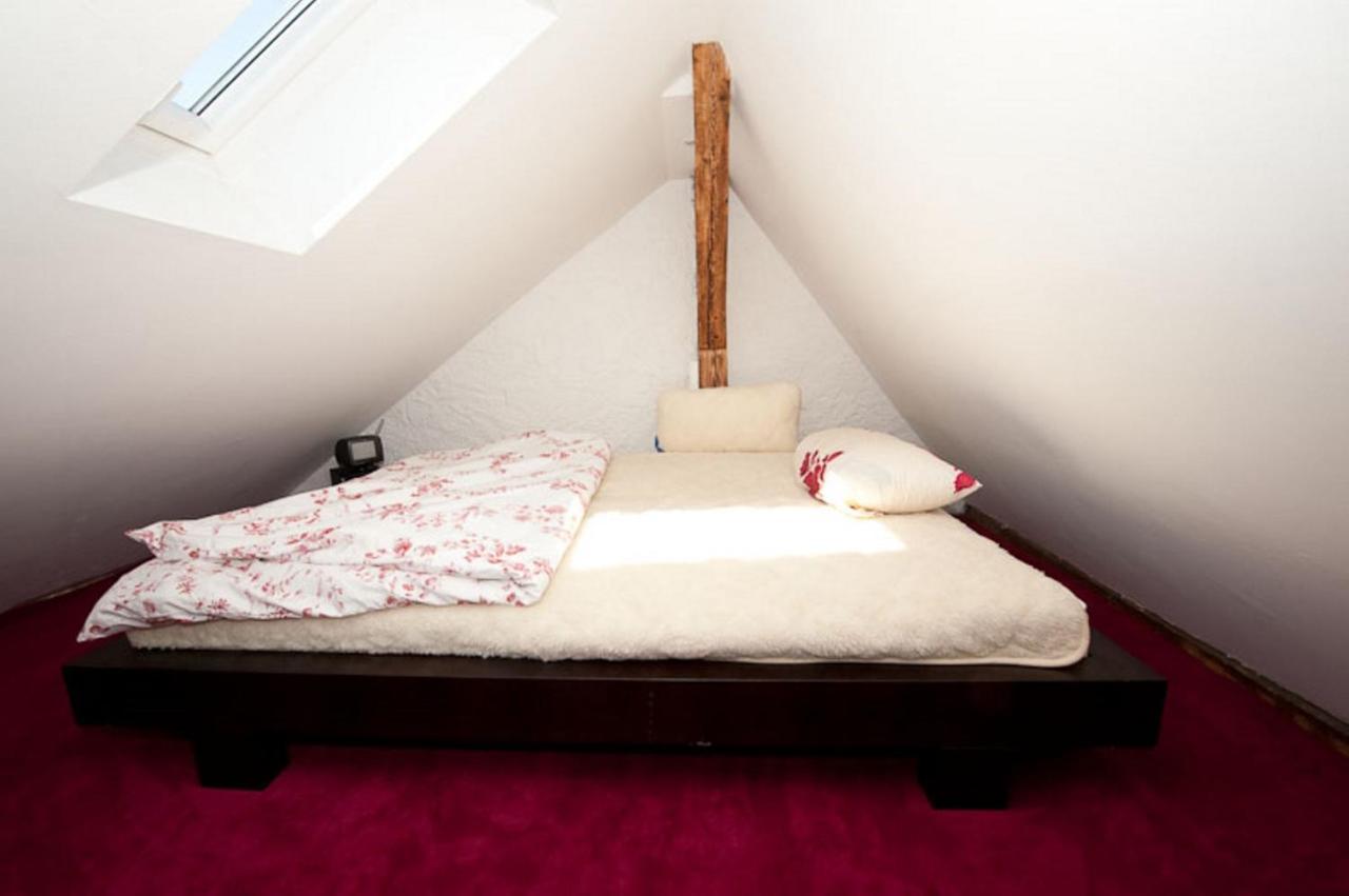 City Lux Apartment In Der Stadt Freiburg Bagian luar foto